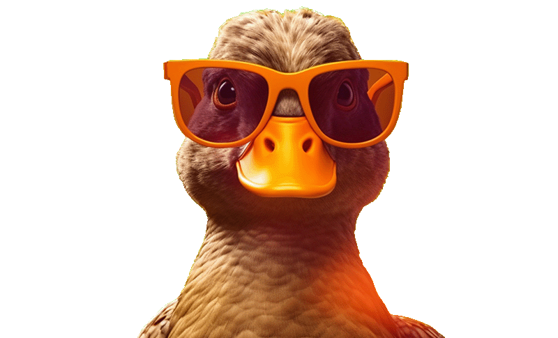 Делаем всё!