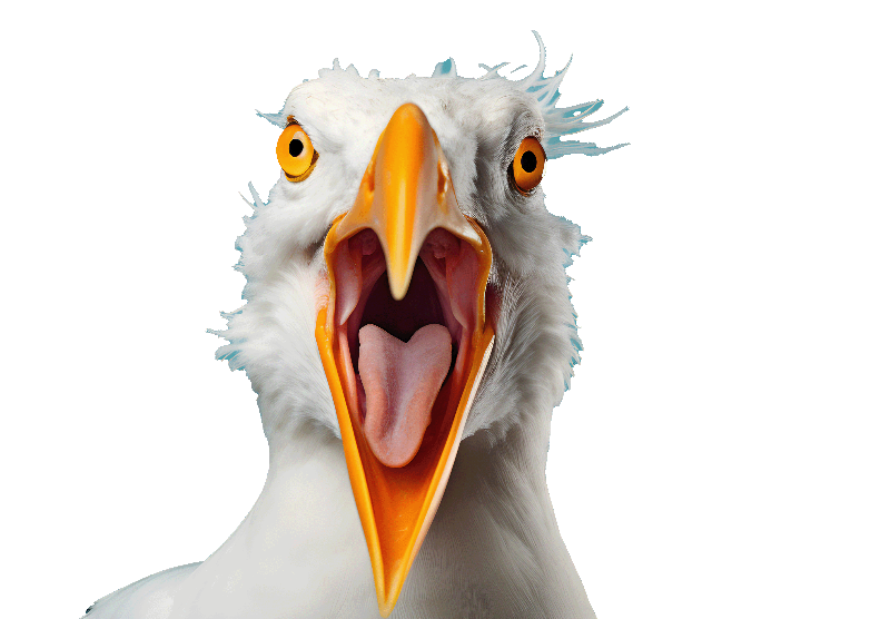 Повышение цен на Microsoft!